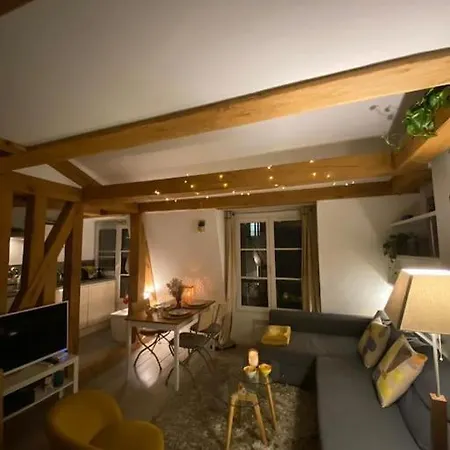 Apartment Lovely Flat Luxembourg Garden Paris